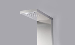 Expanse 64 in. Full Body Shower Panel with Heavy Rain Shower and Spray Wand in Brushed Steel