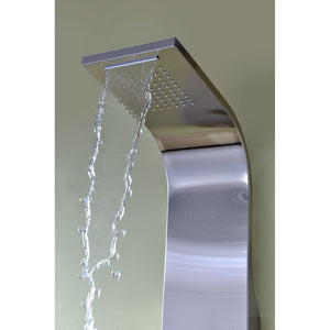 Niagara 64 in. 2-Jetted Shower Panel with Heavy Rain Shower and Spray Wand in Brushed Steel